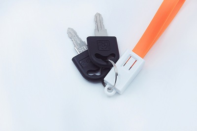 Charging Cable 20CM Noodle Flat Keychain